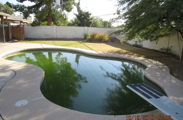 Kidney-shaped pool with green, algae-clouded water and a diving board